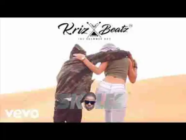 Video: Krizbeatz Ft. Skales – Boss Whine